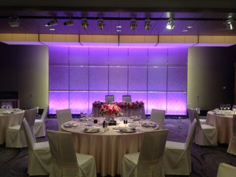 ⑧ＬＥＤ差替え